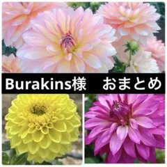 Burakins様 リクエスト 2点 まとめ商品