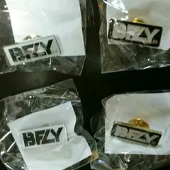 BUMP OF CHICKEN グッズ ピンバッチ