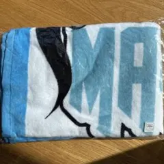 Item thumbnail for item 91e4ede2-ded9-4b01-98e7-7cbe2099b49e