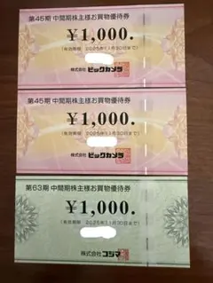 コジマ・ビックカメラ 株主優待券 1,000円×3枚