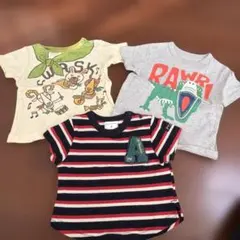 Tシャツ 3枚セット 恐竜　動物　ティラノサウルス
