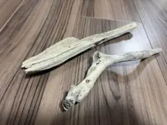 Item thumbnail for item b404acb9-c783-4626-b7ad-59803c5bca55