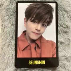 StrayKids スンミントレカ