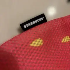 Starbucks 小ぶりの手提げ　トートバッグ　ポーチ