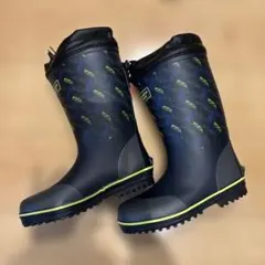 Item thumbnail for item d25e3d37-0d0d-4477-abc5-27dd36486917