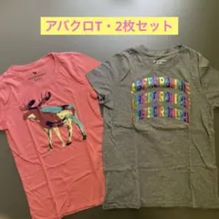abercrombie kids Tシャツ 2枚セット　11/12