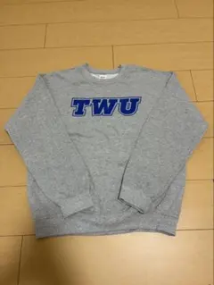 GILDAN スウェット TWU グレー Mサイズ 〝Sa〟