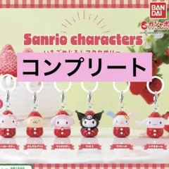 いちごめじるしアクセサリー　コンプリート　全種類　6種　サンリオ