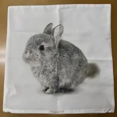 ニトリ　うさぎ柄 クッションカバー