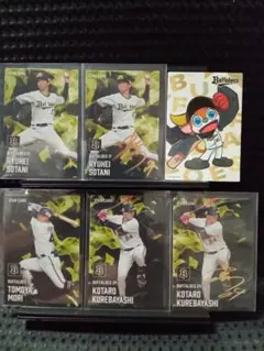 バッファローズ プロ野球チップスカード 14枚セット