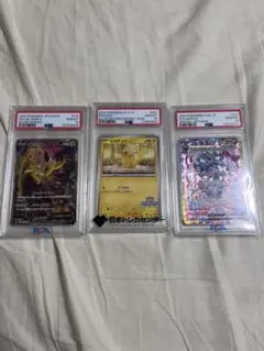 ニンフィア　ピカチュウ　サンダースPSA10 まとめ売り