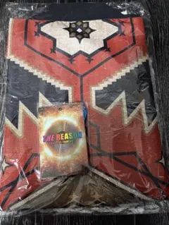 exile the reason ミュージシャン