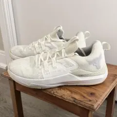 アンダーアーマー　スニーカー　プロジェクトロック28.5cm