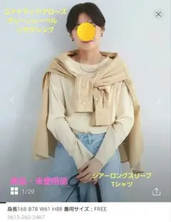 ユナイテッドアローズ　シアーロングスリーブ Tシャツ　カットソー　トップス