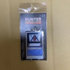 PIICA HUNTER×HUNTER ハンターライセンス　クリアパスケース