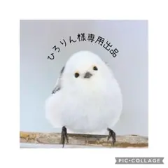 【花苗】PW正規品 ブッドレア パグスター ブルー 5号鉢　①