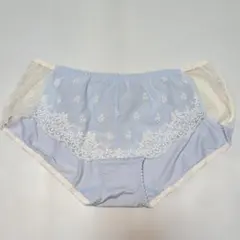 Item thumbnail for item 010060aa-1af4-4824-830c-89f0b0968f8e