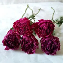 nana610様 リクエスト 5点 まとめ商品