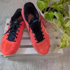 Item thumbnail for item 1a8634a2-c7ac-4366-935d-427f016917ed