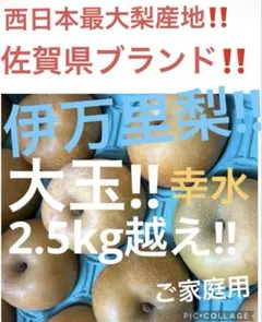 佐賀県ブランド　伊万里梨のサムネイル