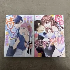 Item thumbnail for item 1527fda0-d7e1-4df9-835d-203b8e9c04b5