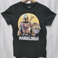 スター・ウォーズ/ザ・マンダロリアン