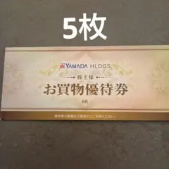 YAMADA HLDGS. お買物優待券 5枚