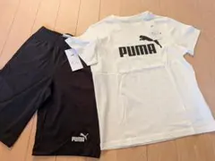 プーマ PUMA Tシャツ ハーフパンツ セット 150 スポーツ