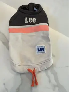 Item thumbnail for item 1cc3aa08-b9d6-4afe-8ab0-cef7d0c4c2a2