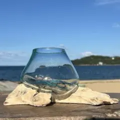 ⭐️ marcuchoo様専用⭐️流木ガラス オブジェ 花瓶 多肉植物 6点
