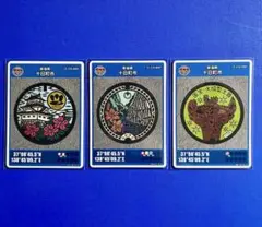 マンホールカード 新潟県十日町市3枚セット