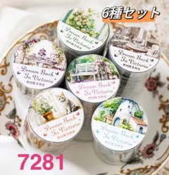 新品❗️夢回ビクトリアシリーズ　PETマスキングテープ　コラージュ素材6種セット