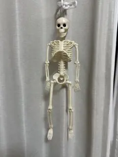 Item thumbnail for item 30114f20-4e38-4dc7-a18f-8306c86f34fd