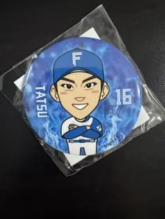 北海道日本ハムファイターズ 応援グッズ