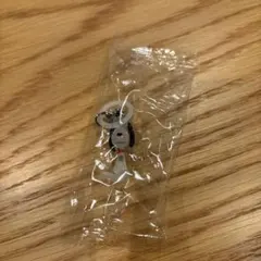 PEANUTS めじるしアクセサリー FUNNY ver.