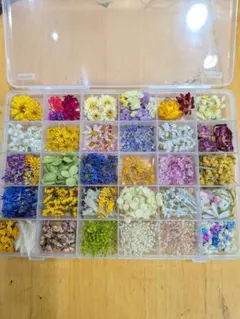 620花材セット　ドライフラワー花材詰め合わせのサムネイル