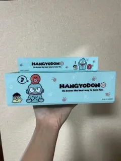 ハンギョドン　収納コンテナ　S&Mセット