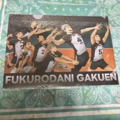 ハイキュー!! FLY HIGH 梟谷学園高校クリアファイル