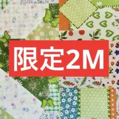 ❣️【限定】お得2M 鮮やかなお花柄 綿100%シーチング生地 1Mずつ