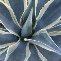 AGB33様 リクエスト 2点 まとめ商品