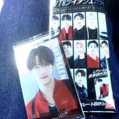 SEVENTEEN ジョンハン ウエハース セブチ