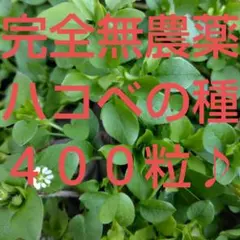 ruu.itc様 リクエスト 3点 まとめ商品