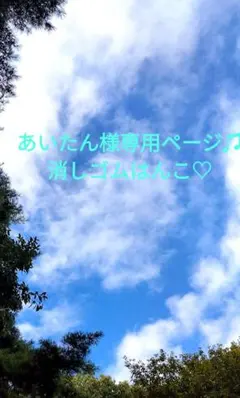 あいたん様専用ページ♫消しゴムはんこ♡