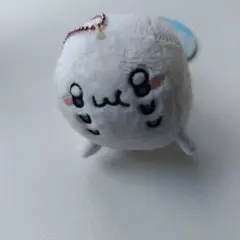 2026年最新】北海の魔獣 あざらしさん ぬいぐるみの人気アイテム