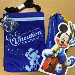 【非売品】ディズニー バケーションパッケージ ミッキーポーチ　パスケースセット