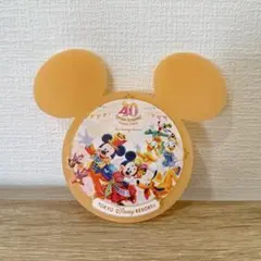 ディズニーランド　40周年　コースター
