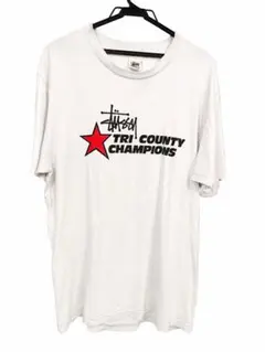 【超希少】90s OLD STUSSY Tシャツ 白タグ USA製 L