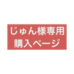 じゅん様専用 購入ページ