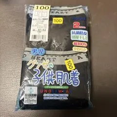 GUNZE 男児用下着 100cm 2枚組