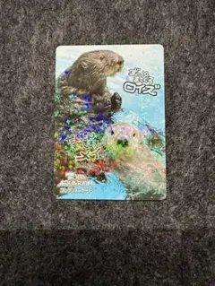 美品*鳥羽水族館コレクションカードvol.2 ラッコ メイ レア NO.46 鳥羽水族館 コレクションカード vol.2 レアカード ラッコ メイちゃん